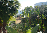 Vidamar Resorts Madeira – Half Board